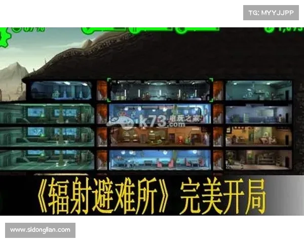 辐射避难所online:盈利之道解析 辐射避难所online:盈利之道解析