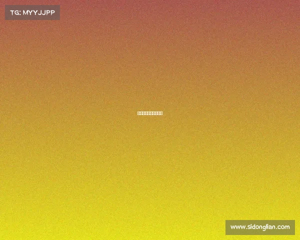 陈赫真人秀节目有哪些